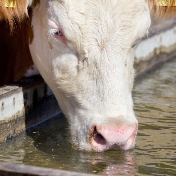 Wasseraufbereitung